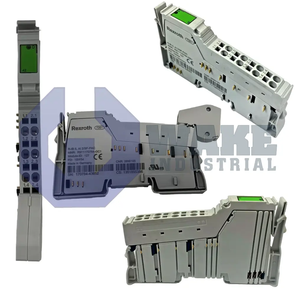 R-IB Input Module Series